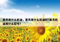 夏天用什么机油，夏天用什么机油好?夏天机油用什么型号?