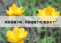 何炅结婚了吗，何炅结婚了吗?他多大了?