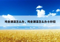 鸡舍潮湿怎么办，鸡舍潮湿怎么办小妙招